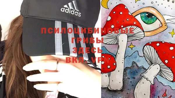 МДПВ Аркадак