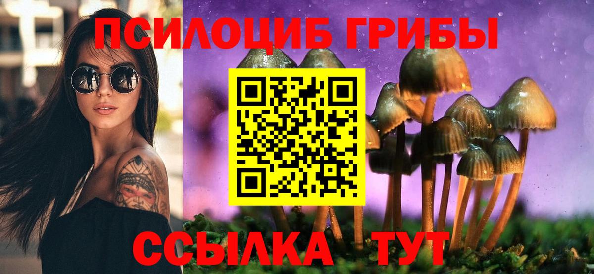 Галлюциногенные грибы Psilocybe  Галлюциногенные грибы GOLDEN TEACHER  Верхняя Салда  Вход с VPN 