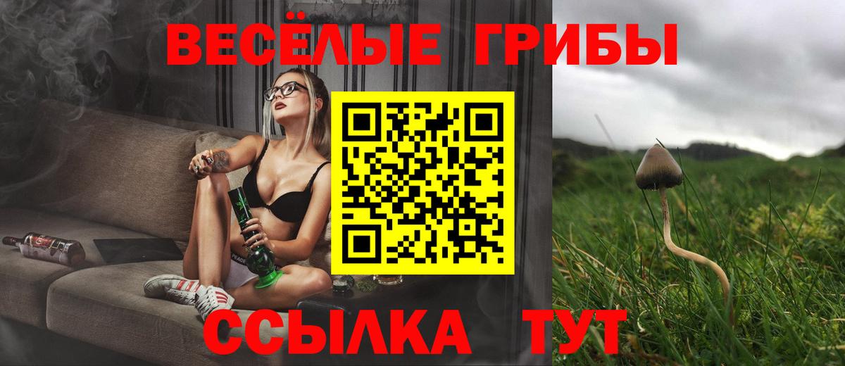 Галлюциногенные грибы GOLDEN TEACHER Верхняя Салда
